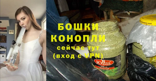 молекула духа Белоозёрский