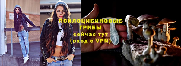 ALPHA PVP Беломорск